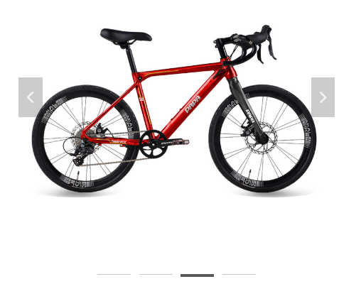 PAPA BIKE Fastrace 451